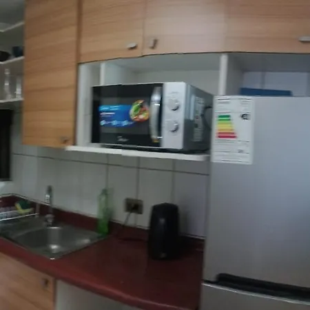 Santiago Paseo Bulnes Apartment